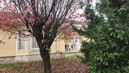 Eladó családi ház, Tök 3 szoba 287 m² 189 M Ft