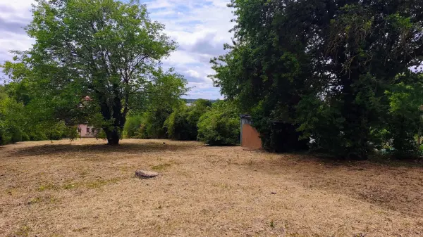 Eladó Építési telek, Budakeszi 1481 m² 100 M Ft