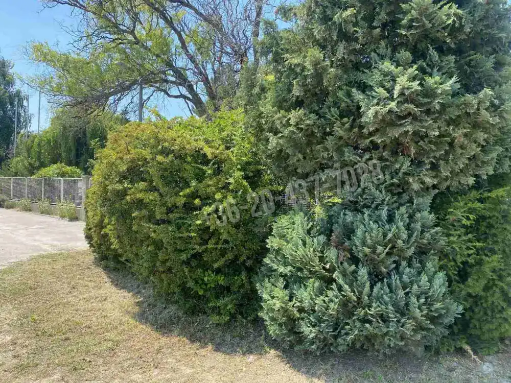 Pest megye - Dunaharaszti