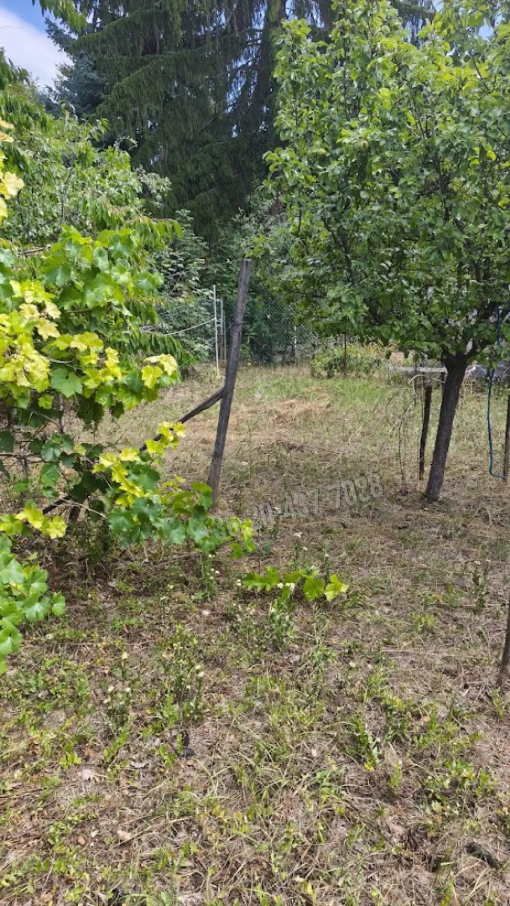 Pest megye - Budakeszi