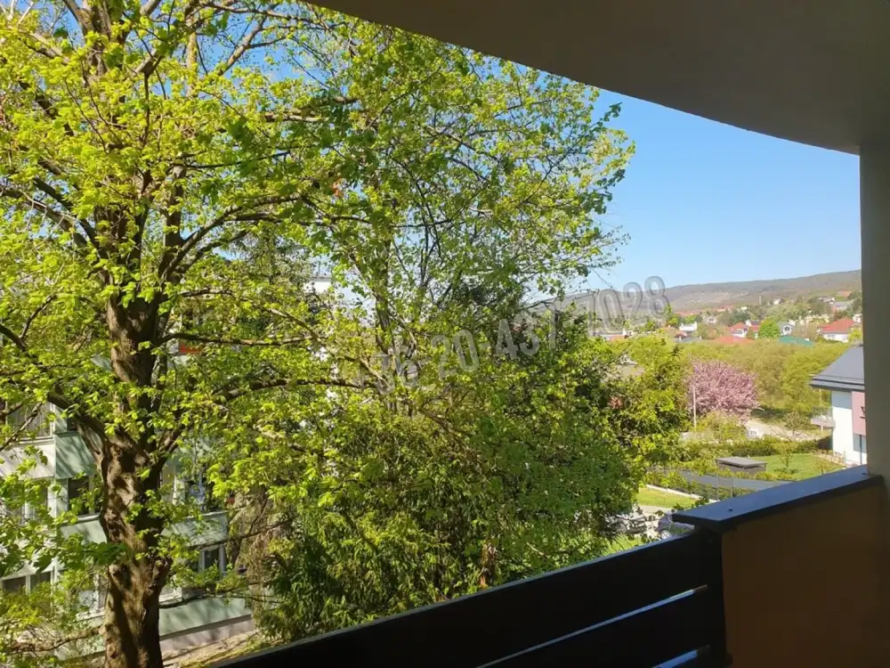 Pest megye - Budakeszi