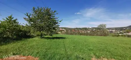 Eladó telek, Budakeszi 1 m² 85 M Ft