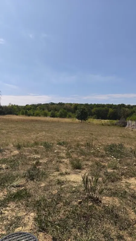 Eladó telek, Budakeszi 765 m² 99.8 M Ft