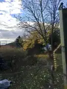 Pest megye - Budaörs